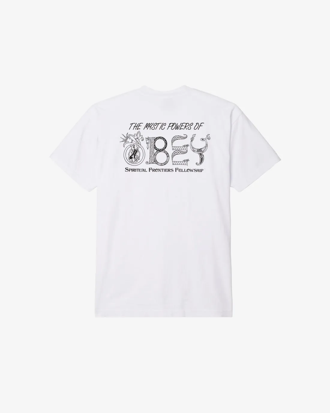 mystic_powers_heavyweight_tshirt_5.webp MYSTIC POWERS HEAVYWEIGHT T-SHIRT*OBEY Clothing Clearance